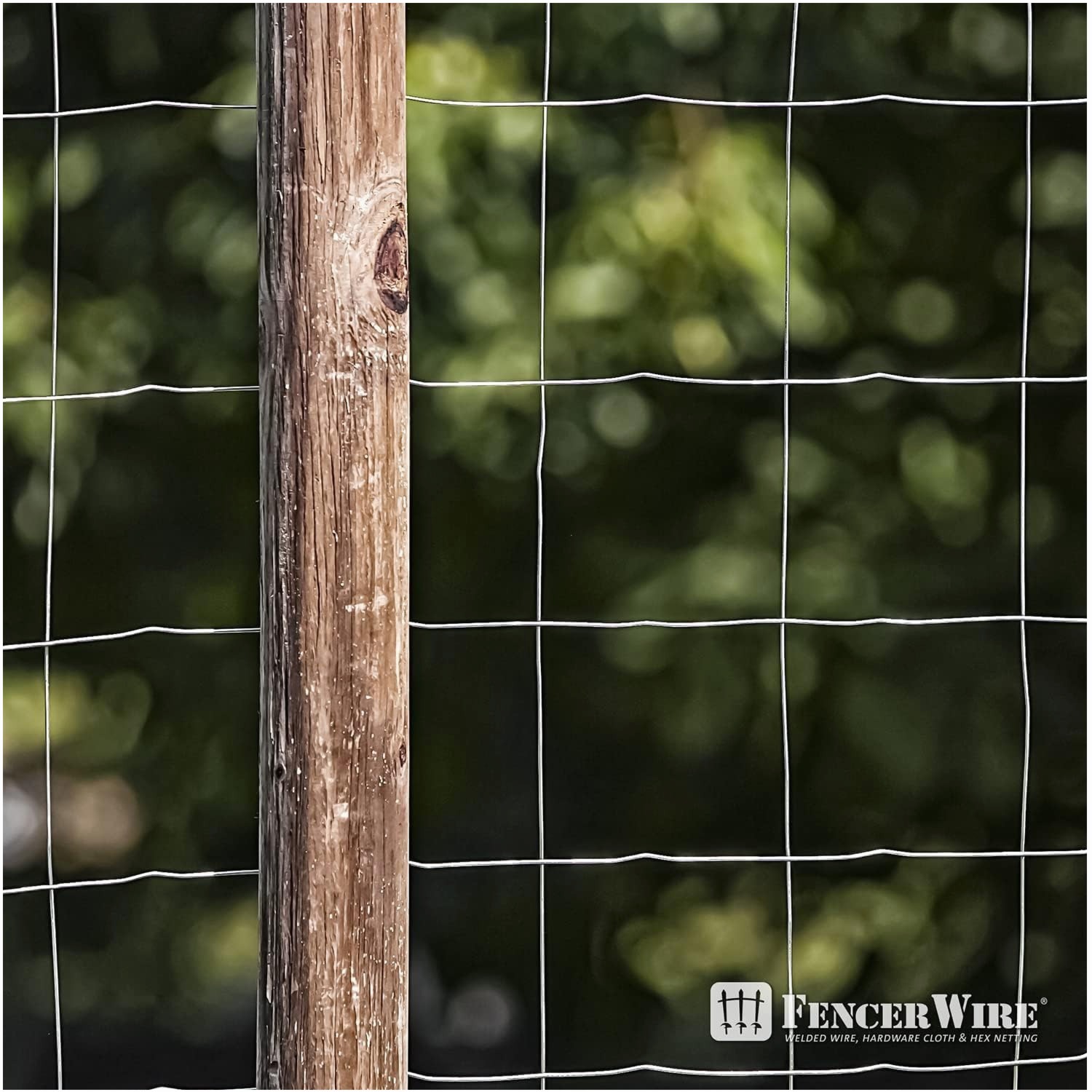 Home Improvement Fence - Galvanized Welded Wire Fence Roll –