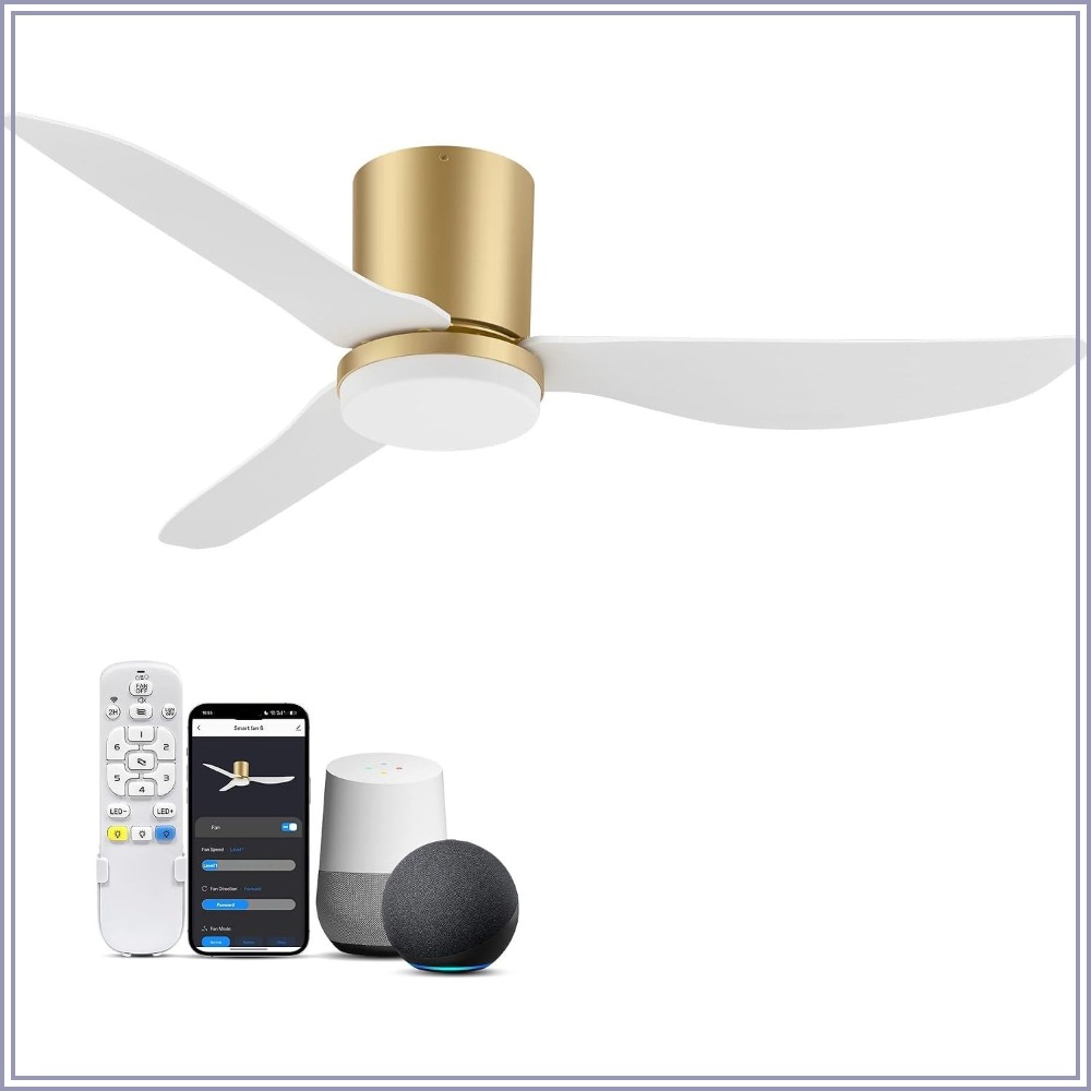 Ceiling Fan Mount - 42 Inch Smart Ceiling Fan with