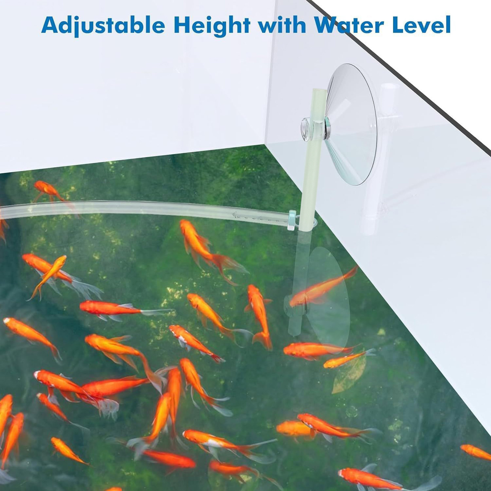 Floating Plant Fence for Fish  - Home Improvement Fence avaliação e preço